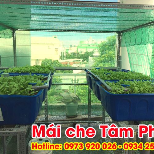 Làm mái che sân thượng trồng rau giá rẻ