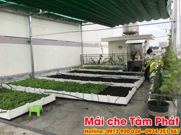 Làm mái che sân thượng trồng rau giá rẻ